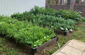 Грядки из ДПК